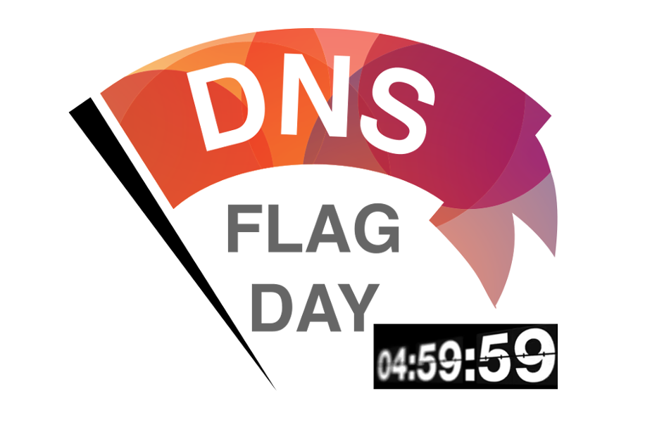 El día de DNS